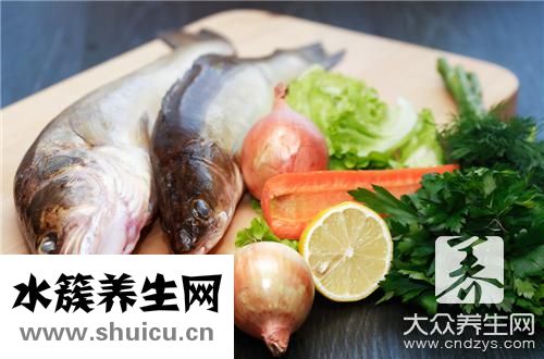 八须鲶鱼