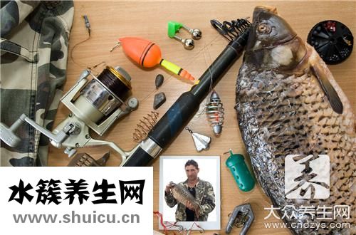 胡子鱼同
