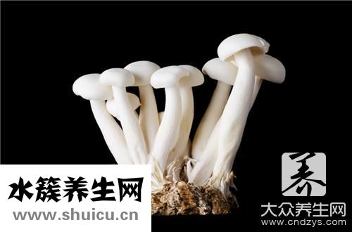 花蘑菇