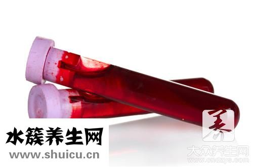 不肉能减肥吗