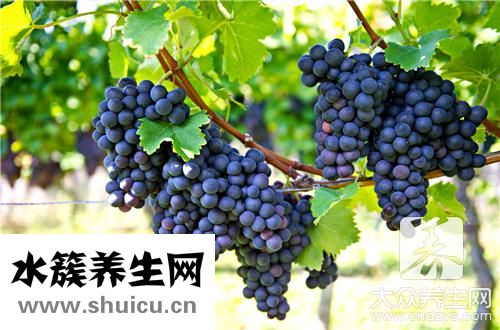 孕期高血糖
