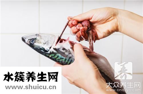 鱼胆破了办