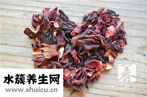 什么花可以