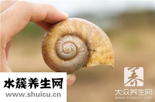 炒泥螺