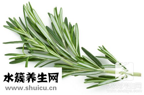 蒿子秆