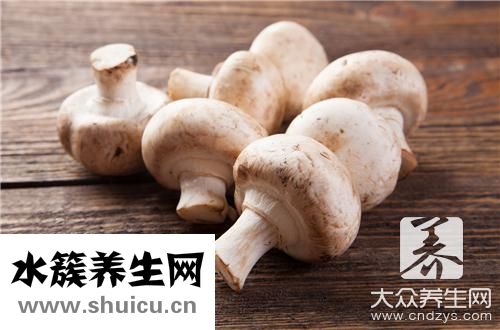 白玉菇好