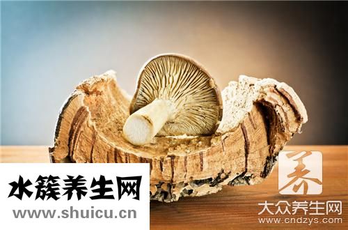 白参菌