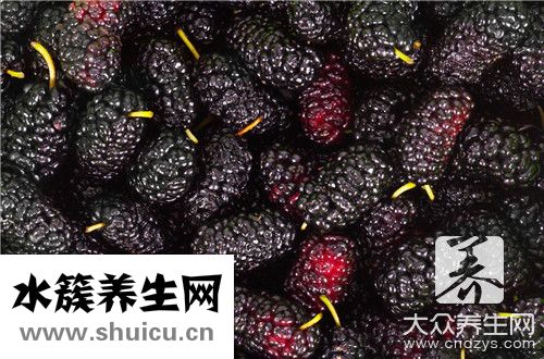 桑葚茶