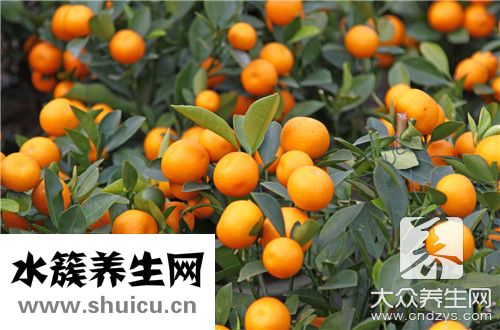 孕妇想酸好