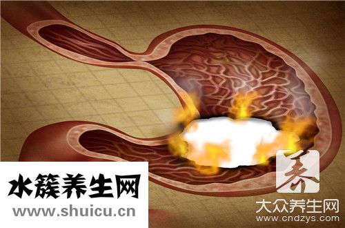 肠胃不好调理食谱