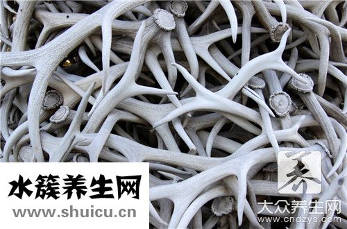 鹿茸配什么吃效果最好