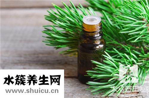 鹿茸效果最好