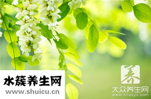 炒槐花