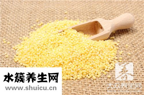 小米跟煮粥最营养