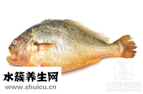 黄鱼营养价值及功效
