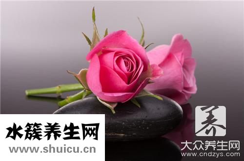 玫瑰酵素