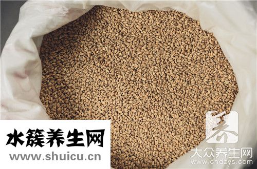 小薏米