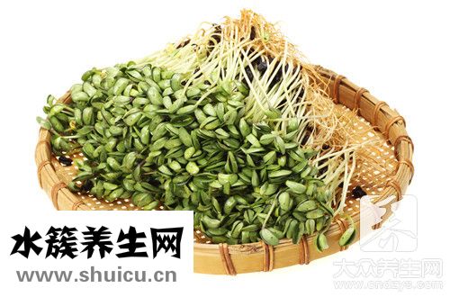 生绿豆芽