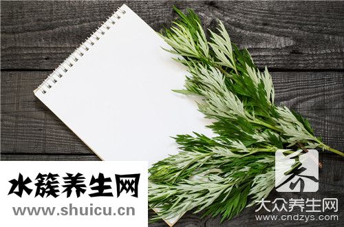 新鲜艾叶