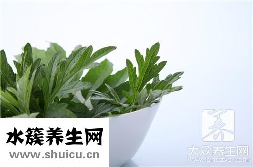 新鲜艾叶
