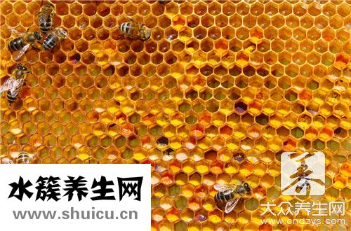 蜂皇浆和蜂蜜区别