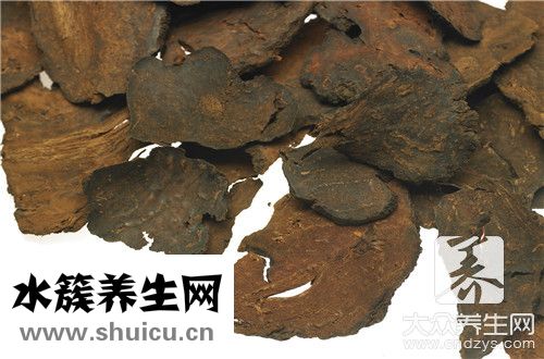 何首乌泡水喝功效