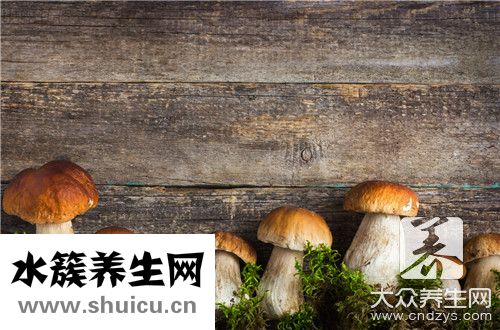 茶树菇干