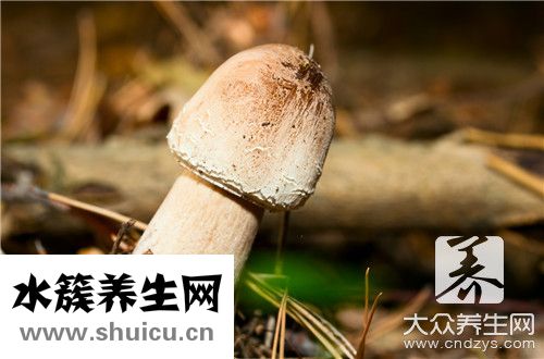土豆香菇炖鸡腿