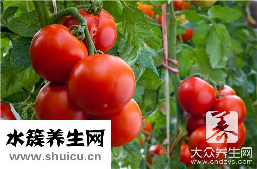 番茄炒西红柿