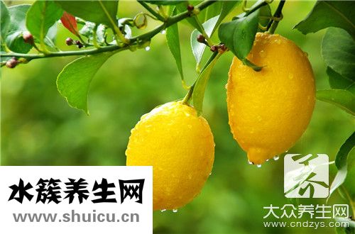 排毒水果