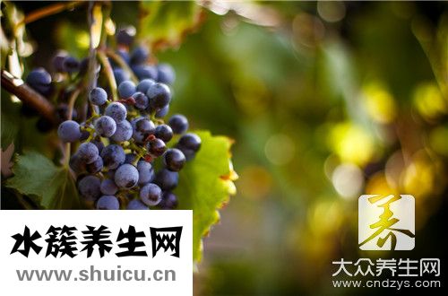 葡萄干
