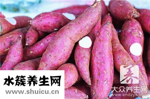 紫薯发芽