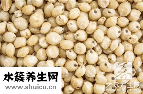 高粱酿酒技术
