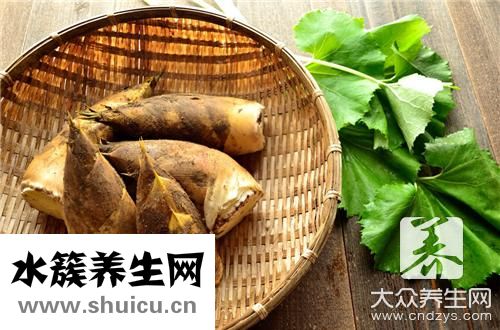 笋处理