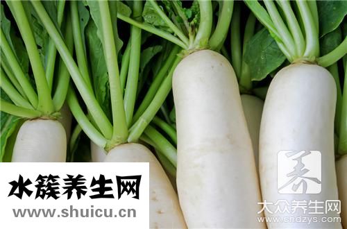 白萝卜煲汤法大全