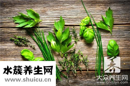 韭菜好处