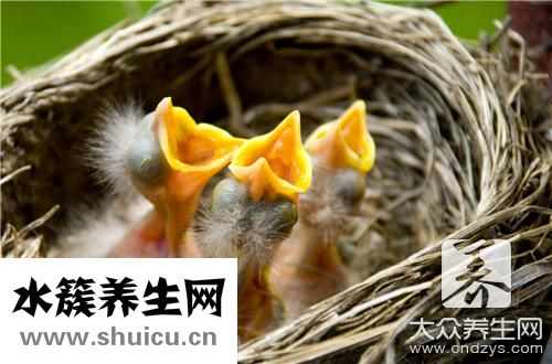 孕妇有没有必要燕窝