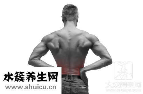 补肾效果最好