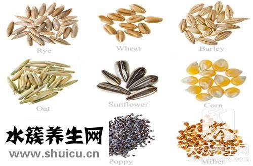 五谷杂粮功效与作用