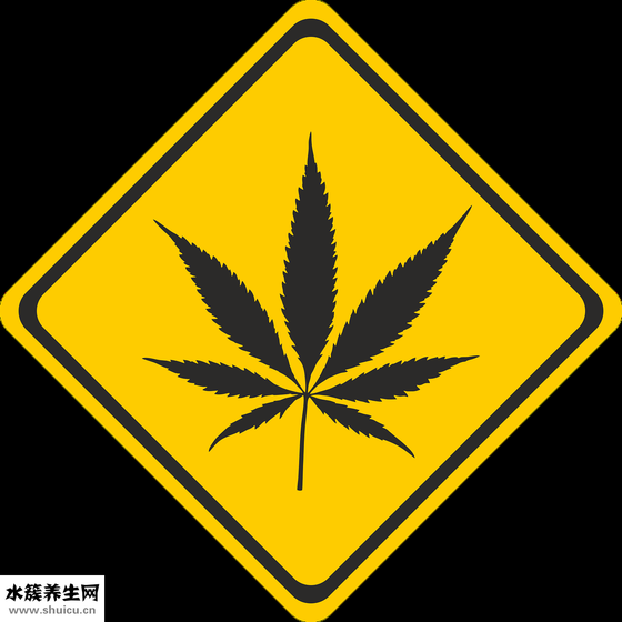 胡桃的作用与功效（胡桃科黄杞属植物）