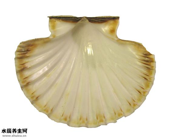 hbeab阳性是什么意思（a辅h4指a，h:a,a辅护苹关a：a的a各a辅及a猕果a指对a）