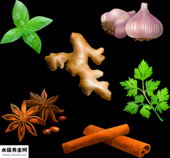 芝麻酱怎么吃（芝麻酱的吃法大全）