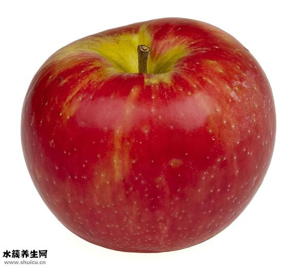 b族维生素食物（b族维生素食物有哪些）