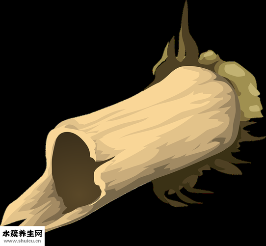 乳酸钙的作用（低聚果糖的功效与作用）