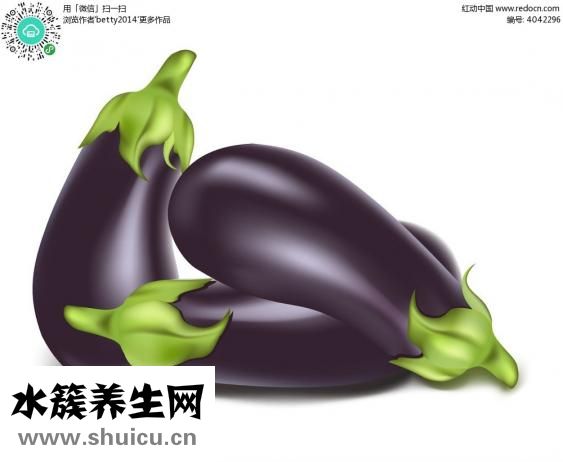 茄子鸡蛋的做法（茄子炒鸡蛋的做法）
