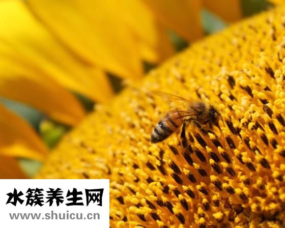 身上皮肤老是痒怎么回事（身上痒是怎么回事）