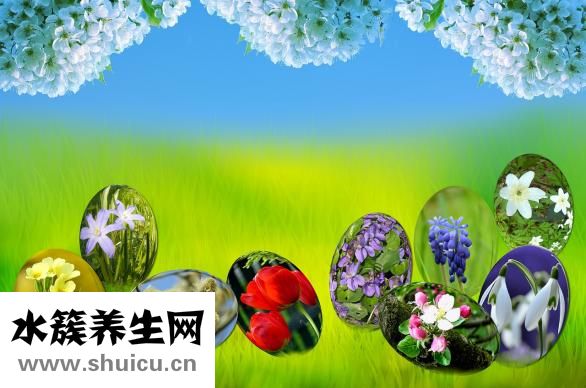 复方丹参滴丸的作用（复方丹参滴丸适合什么人吃）