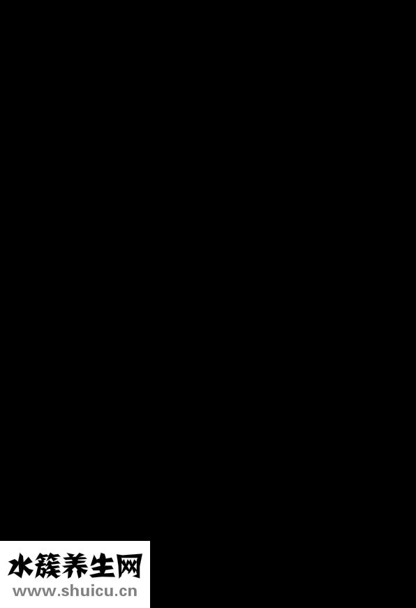 怎么扎头发好看又简单（怎么扎头发更好看又简单）