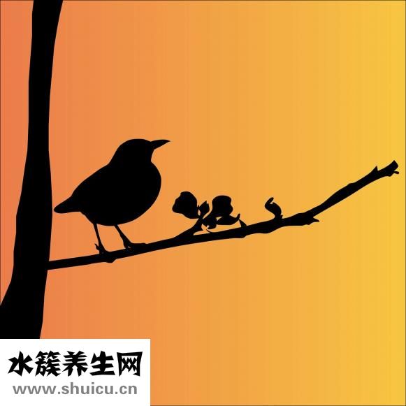 做梦笑醒了有什么征兆（2345周公解梦）