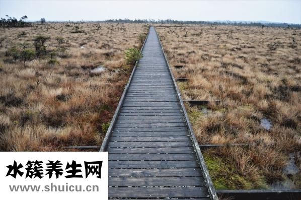 一副眼镜多少钱